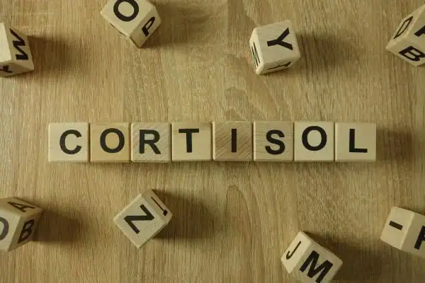 The Hidden Connection: How Stress Shapes Your Fitness and Body Composition 2 Image saying "Cortisol" and how stress Northwood impacts your wellbeing and bodies shape